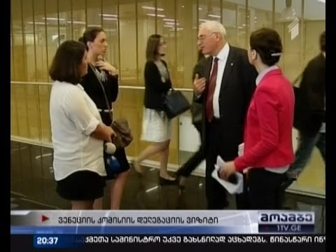 ვენეციის კომისიის ექსპერტებმა საკონსტიტუციო ცვლილებების ინიციატივები მოისმინეს.