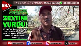 Zeyti̇ni̇ Lodos Vurdu