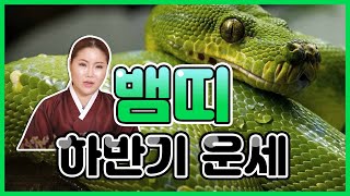 2020년 경자년 하반기 뱀띠 운세 자세히 알려드립니다 32세 44세 56세 68세 미리 참고합시다 !!