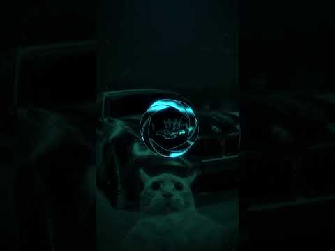 طبكت بل فرع بي ام رصاصيه