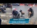 Lomito se vuelve viral por empujar la silla de ruedas de su dueño para cruzar la calle