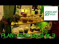 PLANT FEST 2023 pt 3 | Plantas raras y de colección |