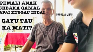 Pemali Anak Sebaka Gamal Enggau Apai Tauka Indai...