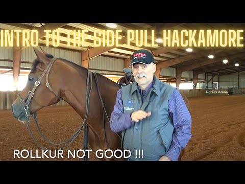 AN INTRODUCTION!!! - TO THE SIDE PULL!!! - HACKAMORE!!! - FOR BEGINNERS!!! - Part 1