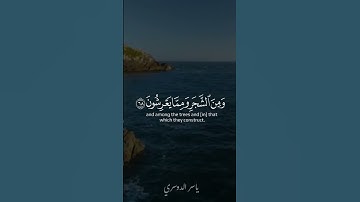 (واوحى ربك الى النحل) سورة النحل#ياسر_الدوسري #تلاوات_خاشعة #تلاوات #علي_جابر