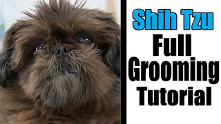 Shih Tzu Full Grooming | Short Summer Haircut by Grooming By Rudy 1,449 views 8 months ago 26 minutes