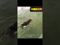 #funny #failsarmy #funnymeme #failclips #fails #laughmeme #clips #meme #laugh #hilarious #enjoy