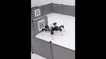 Look! I Built a Terminator