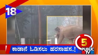ಕಾಡಾನೆ ಓಡಿಸಲು ಹರಸಾಹಸ...! | Karnataka Top 20 | Public TV