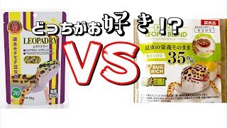 【人工餌】レオパドライVSレオパブレンドフードどっちが食べるの？【おすすめ】