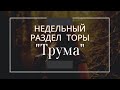 Недельный раздел Торы &quot;Трума&quot;