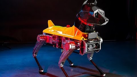 Rare robodog being programmed at FAU