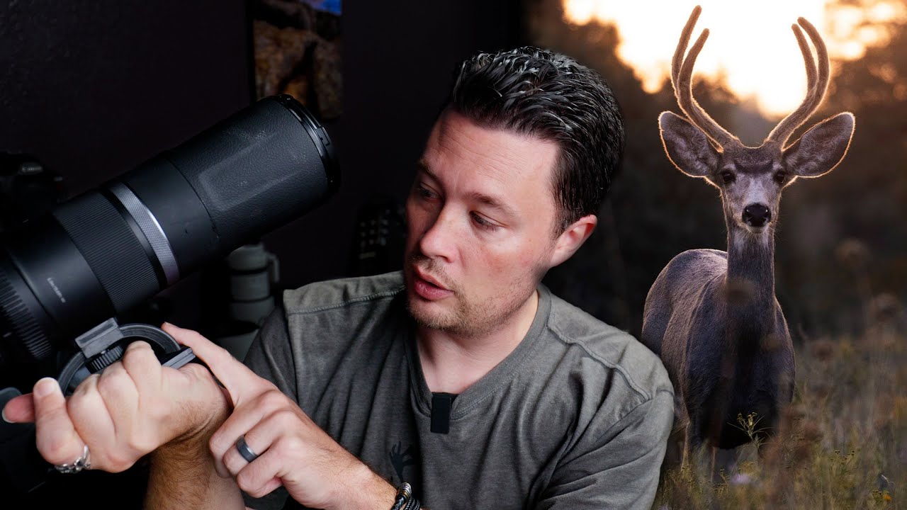 WILDLIFE PHOTOGRAPHY Q A Where s My R7 Best Budget Lens Options For wildlife-photography-q-a-where-s-my-r7-best-budget-lens-options-for