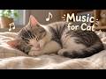 Calming music for cats home alone 🐱 8 hours separation anxiety & stress relief