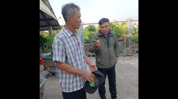 chuyện cảnh giác giúp trúng người vô ơn #song #funny #haihuoc #giadinh #giaitri #comedy #reviewvui