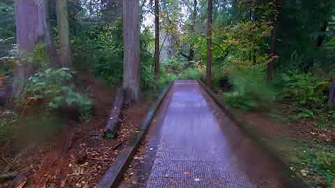 Stanley Park Vancouver trails in the rain to the A...