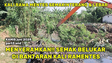 MENYERAMKAN!! EXCAVATOR BONGKAR SEMAK BELUKAR BANTARAN KALI || NORMALISASI KALI BEKASI #dedimulyadi