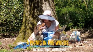 Picnic in the woods at National Trust Warren Hill by Lynn B 112 views 2 weeks ago 6 minutes, 53 seconds