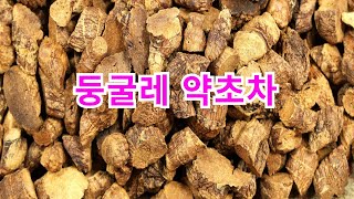 일반적인 둥굴레 약초 건강차 만드는 방법 #한방차 #산야초차 #약초차 #herbaltea #herbalfood #healthyfood #anti-aging #wellness