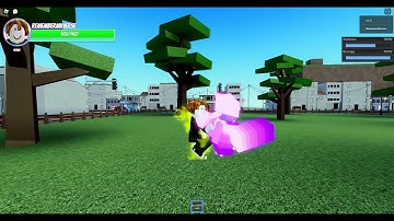 (A Universal Time) Shadow Dio glitch / Unused TWHV variant