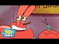 Bob Esponja | Don Cangrejo es Hipnotizado + ¡Más NUEVOS Episodios! | Bob Esponja en Español