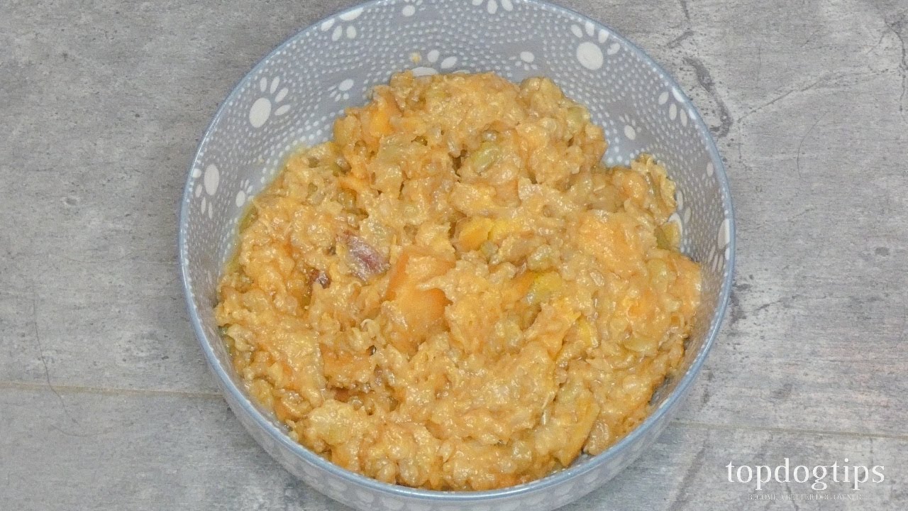 Recipe Meatless Homemade Dog Food with Peanut Butter YouTube
