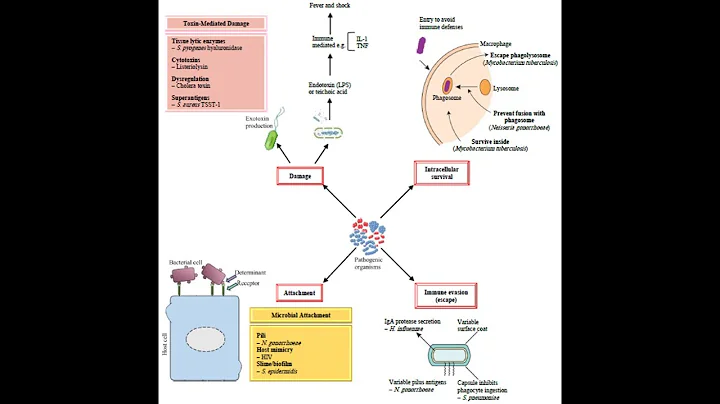 7. Week 7 Podcast - Bacterial Warfare: Inside the Strategies of Virulence and Pathogenesis