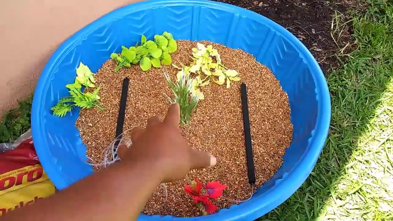 DIY HOMEMADE POOL FISH POND Aquarium! YouTube