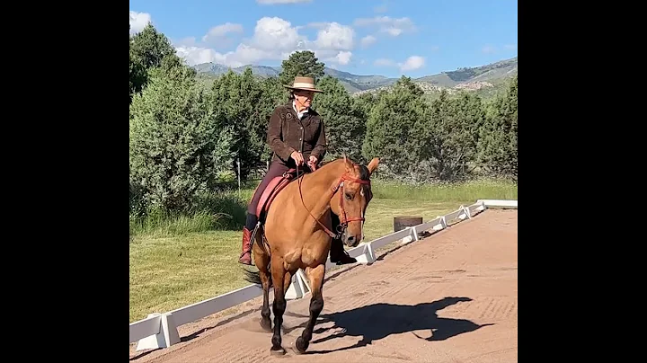 L 4 first part trot work, WE, September 2022