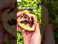 【激安】埼玉一激安なたこ焼き【春日部市】