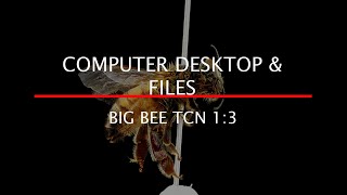 BIG BEE TCN 1:3 Computer Desktop and Files