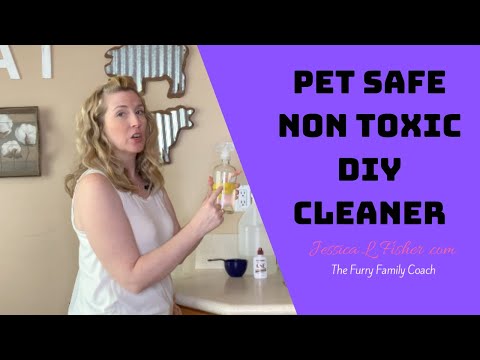 Homemade Cleaner Non-Toxic