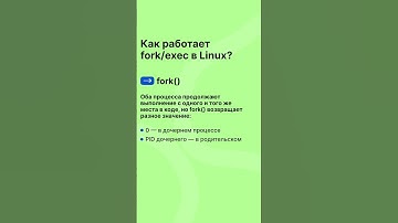 Как работает fork и exec в Linux #слёрм #shorts #linux