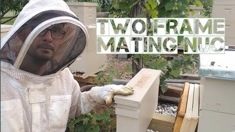 Grow your Hive Count with the 2 Frame Mini Mating Nuc / Queen Mating Nuc / Backyard Beekeeping