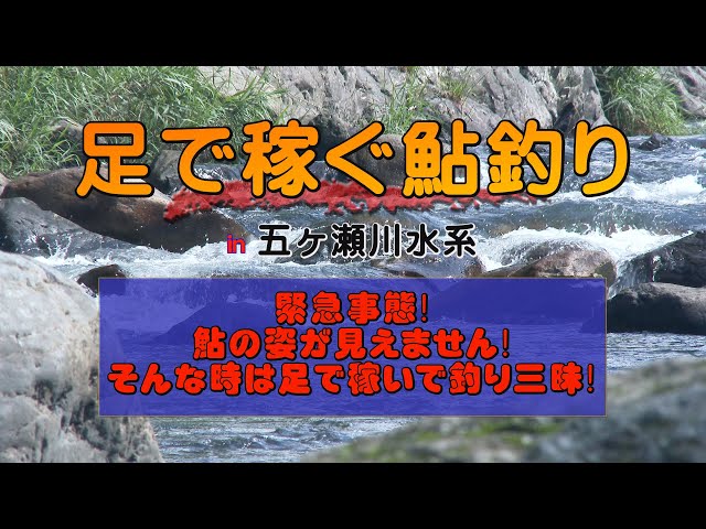 ★送料無料★川釣り 釣り竿 鮎 天竜 渓流 川