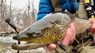 MOUSING | Swinging a Mouse for Great Lakes Brown Trout.