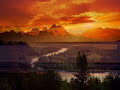 Nujabes - Peaceland