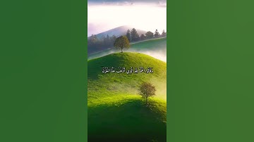 واتس اب قران كريم القارئ ياسر الدوسري (سوره فاطر)
