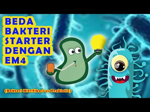 Video: Adakah probiotik membantu dengan vag bakteria?