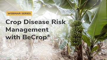 Webinar Series 1/3: Crop Disease Risk Management with BeCrop®
