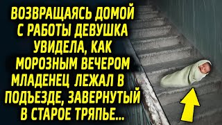 Возвращаясь домой с работы, девушка увидела подарок морозным вечером на лавочке…