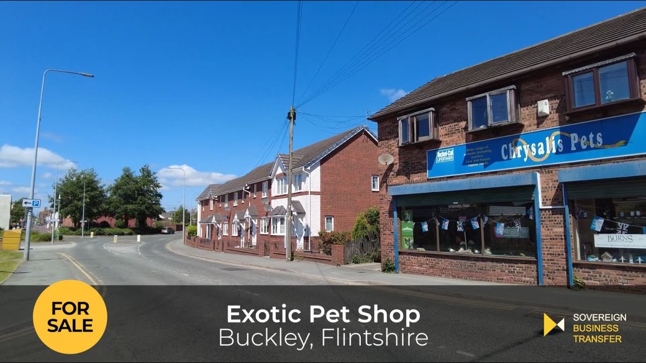 exotic-pet-shop-for-sale-in-buckley-flintshire-youtube