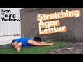 30 menit yoga agar tubuh menjadi lebih lentur dan fleksibel flexibility  stretching dirumahaja