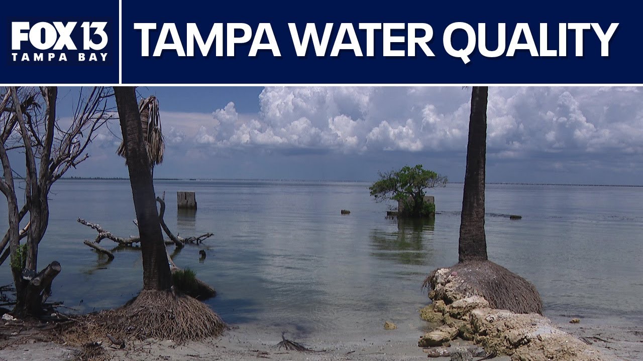 Waterkeepers in Tampa Bay on water quality results