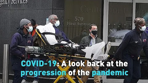 COVID-19: A look back at the progression of the pandemic