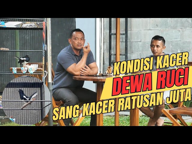 Prio Excellent Sudah Berbulan-bulan Tak Bertemu Sang Kacer Dewa Ruci. BEGINI UPDATEnya class=