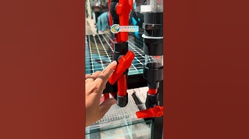 Hồ 80x40x40 sử dụng overflow tách phân đỏ đen