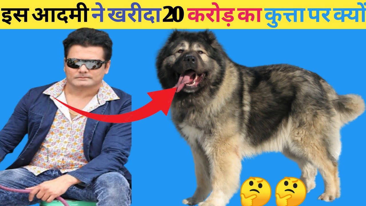 दुनिया में सबसे महंगा कुत्ता Most Expensive Dog In The Torld Facts 20 cr dog in world