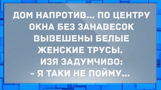 На окне трусы женские вывешены. Анекдоты.