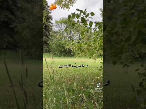اروع خواطر معبرة 2021 حب الذات ليس انانية بل اهمية